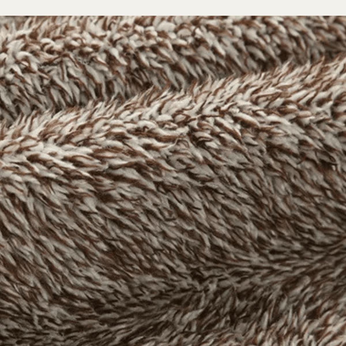 Lansbury | Leather Jacket with Fleece Lining and Stand Collar